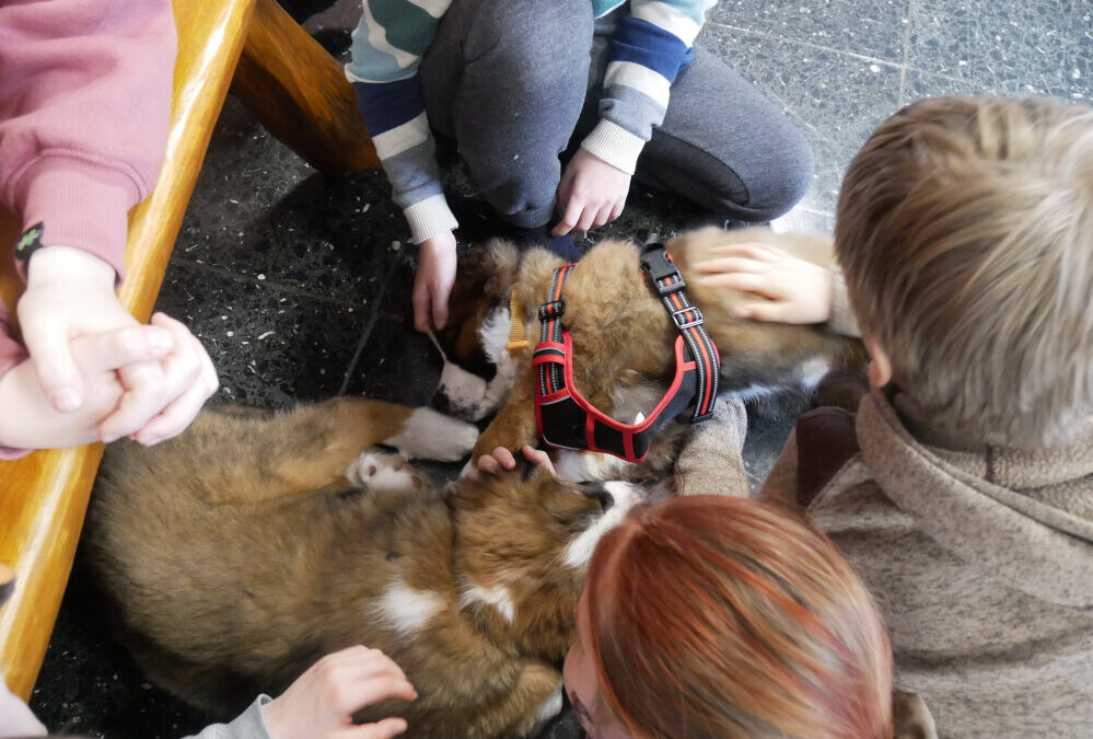 Hundebesuch an der FRS