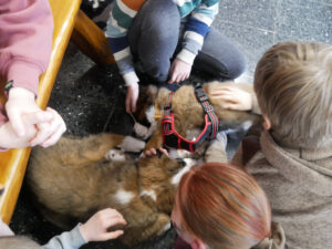 Hundebesuch an der FRS