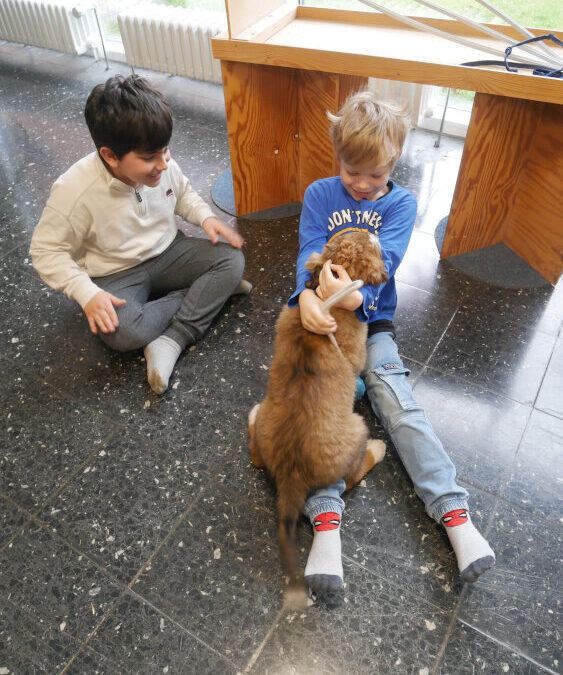 Hundebesuch an der FRS