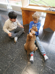 Hundebesuch an der FRS