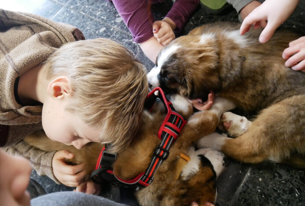Hundebesuch an der FRS