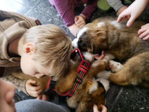 Hundebesuch an der FRS