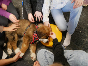 Hundebesuch an der FRS