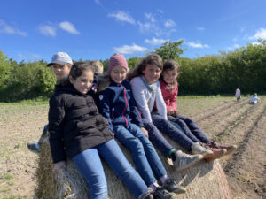 Eine runde Sache