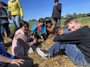 Pause auf Stroh