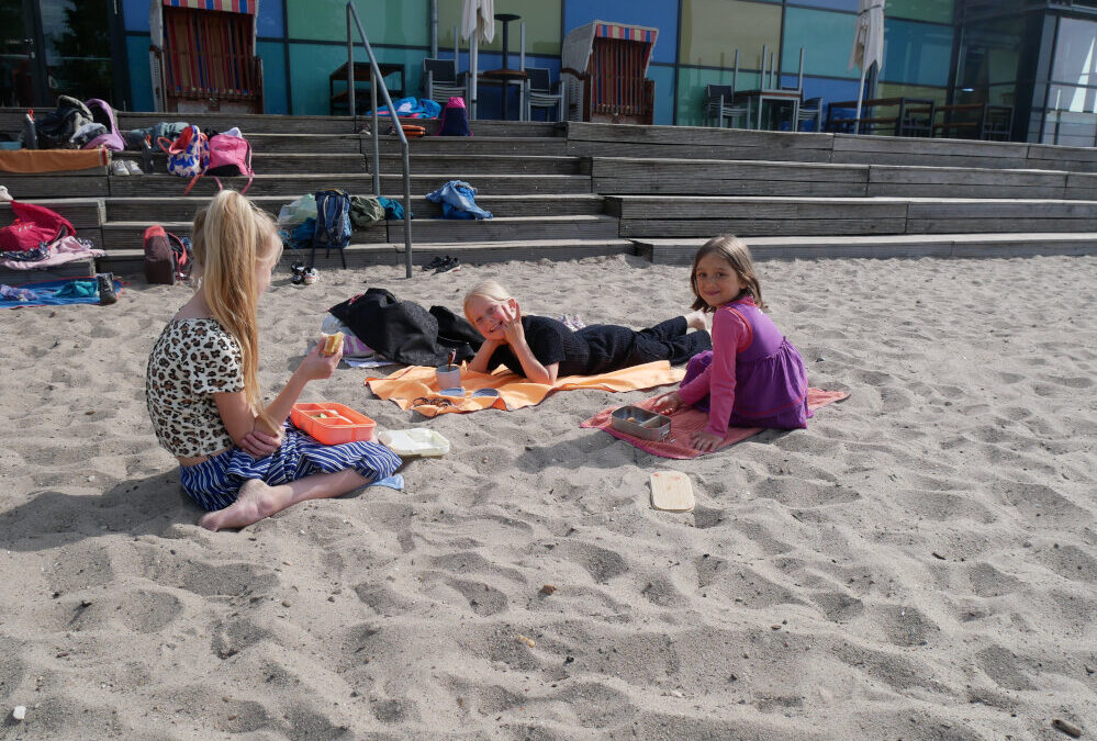 Die Füchse am Strand