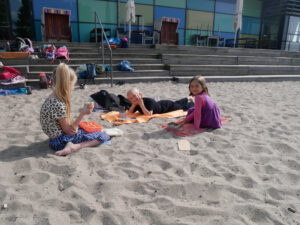 Die Füchse am Strand