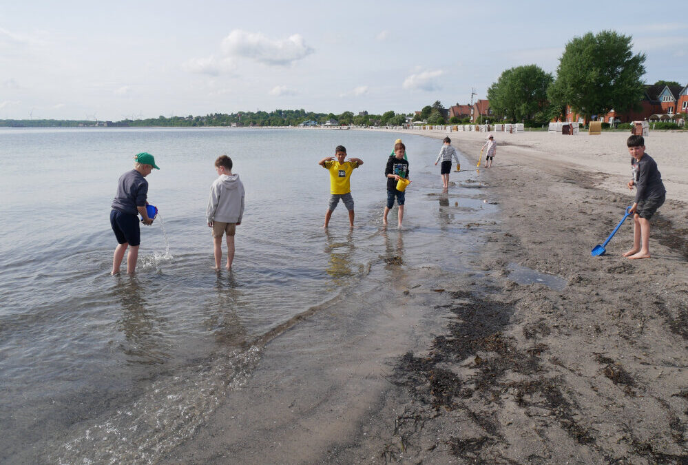 Die Füchse am Strand