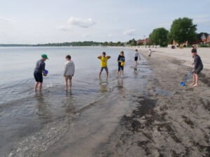 Die Füchse am Strand