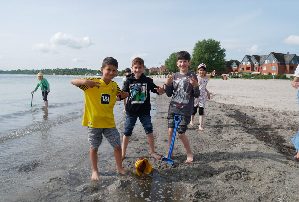 Die Füchse am Strand
