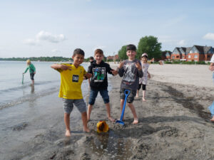 Die Füchse am Strand