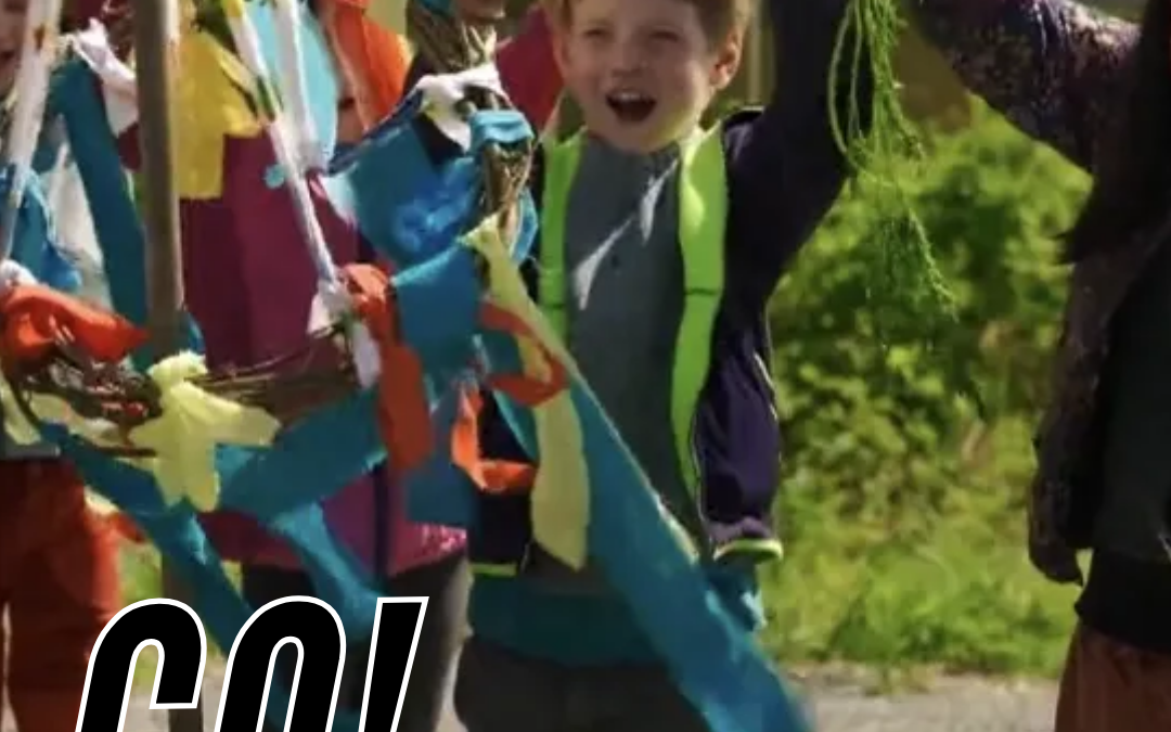 Crowdfunding für FRS-Hochbeethelden